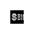 bet big dollar casino